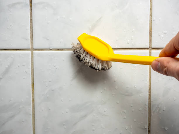 Best Mold Damage Repair  in The Woodlands, TX