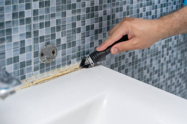 Best Best Mold Removal Companies  in The Woodlands, TX