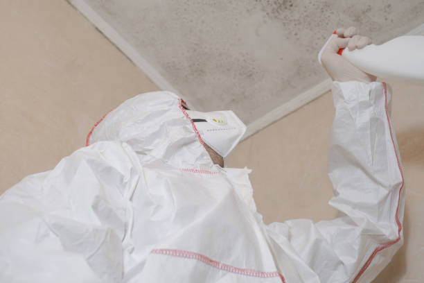 Best Commercial Mold Removal  in The Woodlands, TX